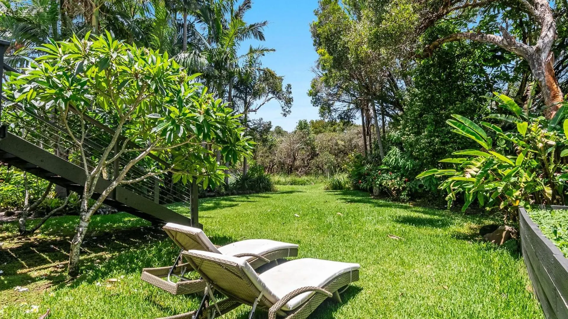 Frangipani * Byron Bay