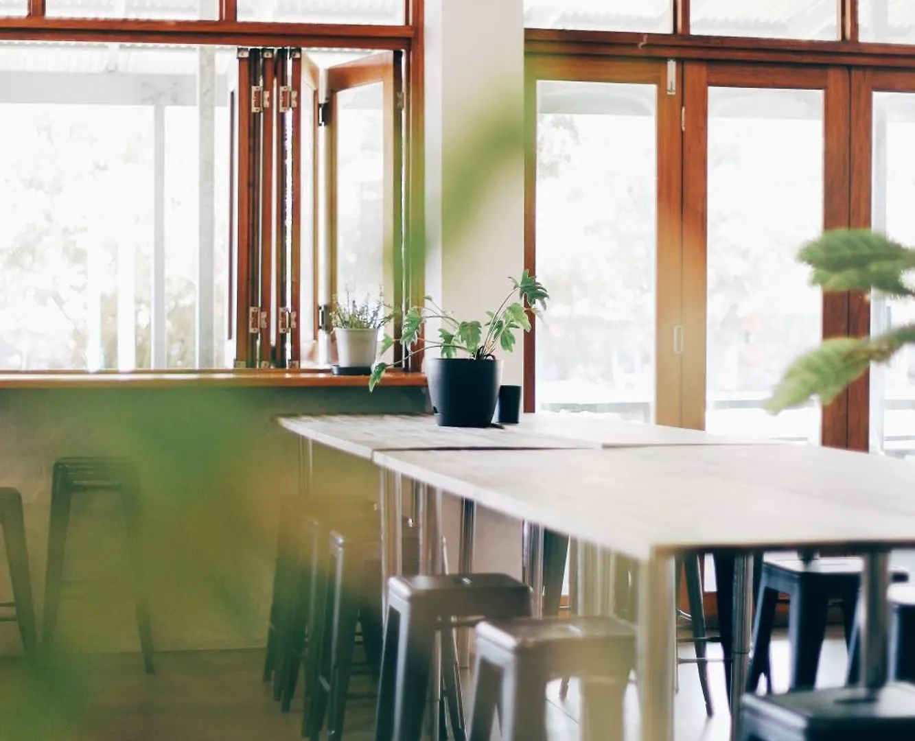 Auberge de jeunesse Life In Byron Byron Bay