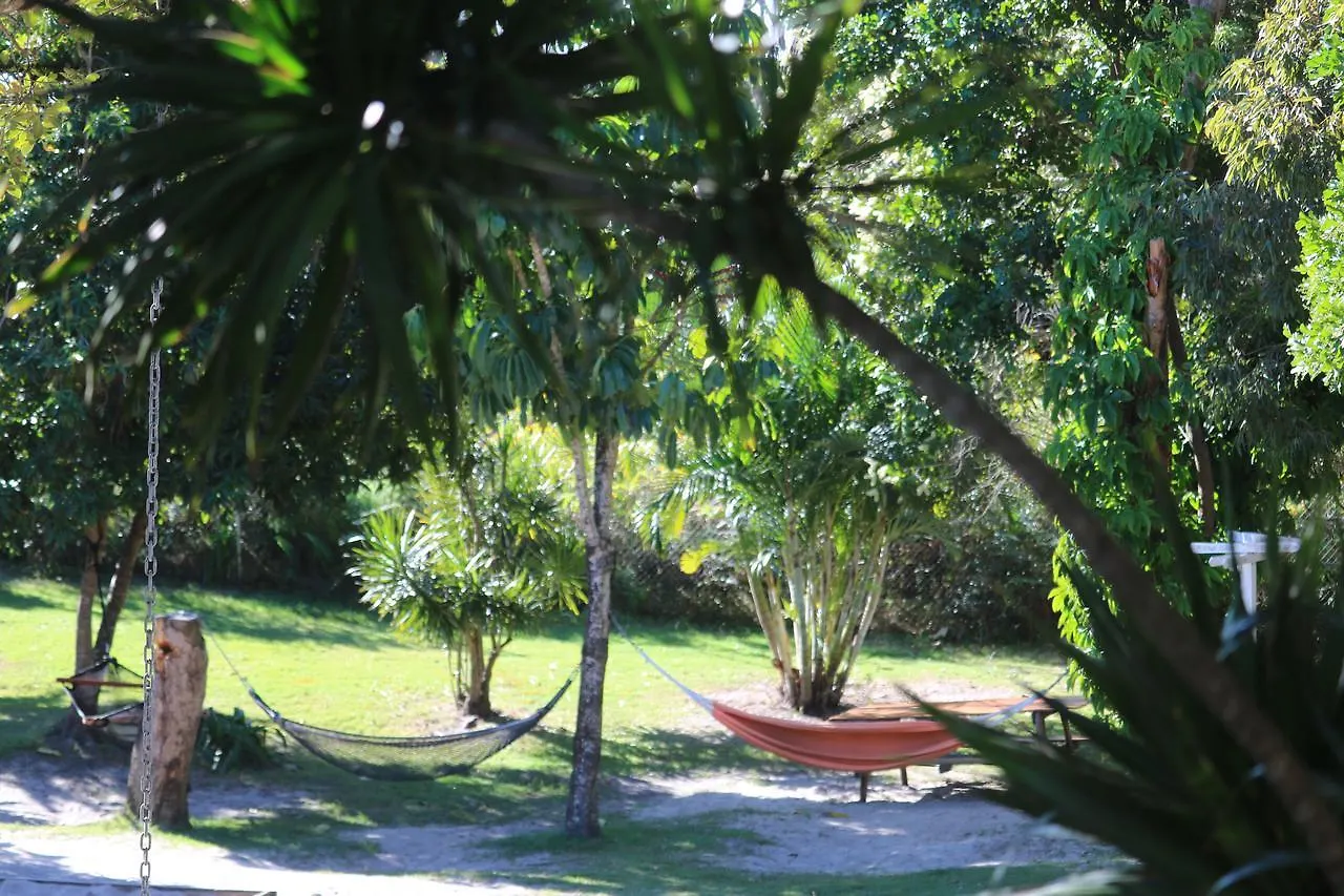 Backpackers On The Hostel