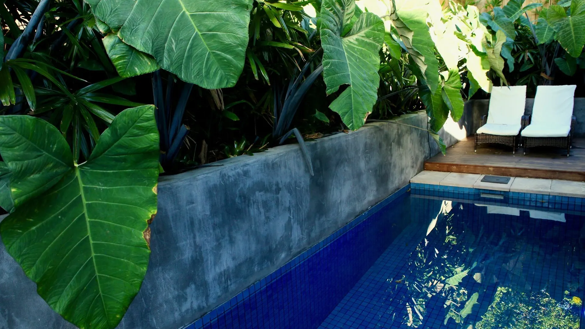 Luxury Artist Architect Retreat Villa Byron Bay