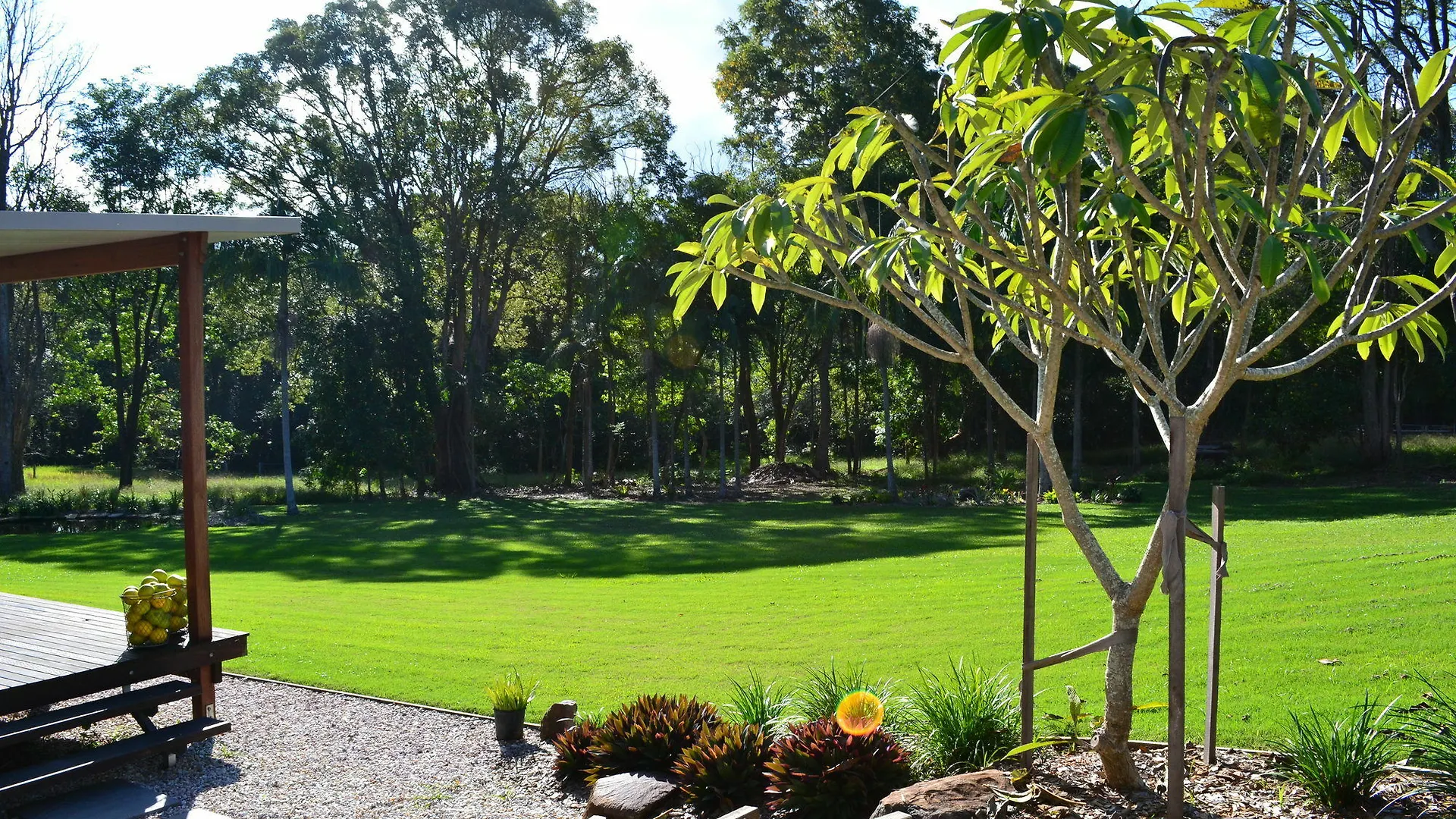 The Lily Pad At * Byron Bay