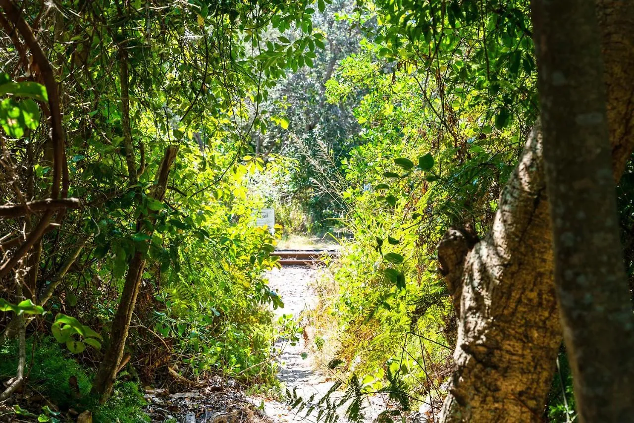 汽车旅馆 沃隆巴汽车旅馆 拜伦湾