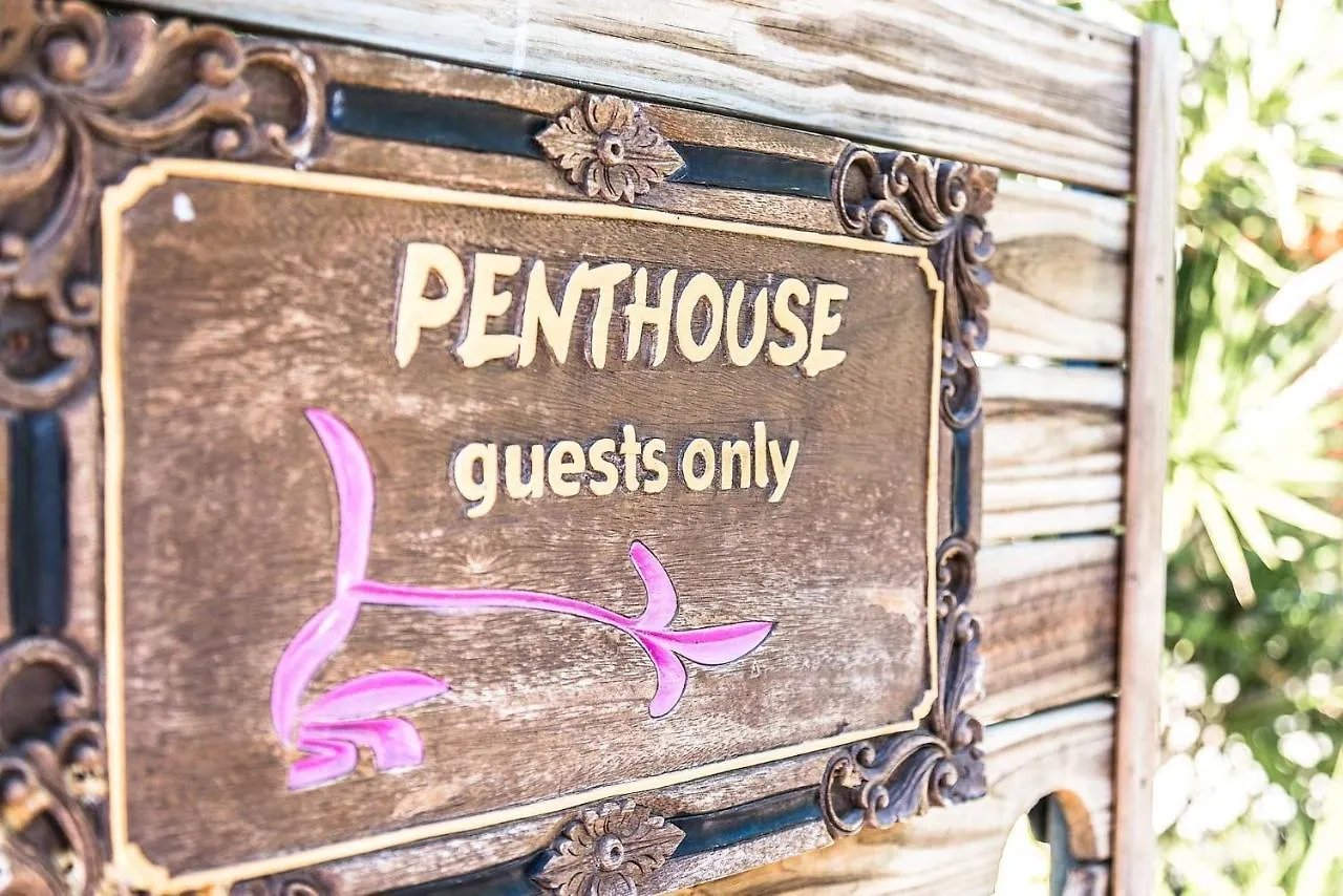 Feriehus Byron Blisshouse Penthouse - Belongil Luxury