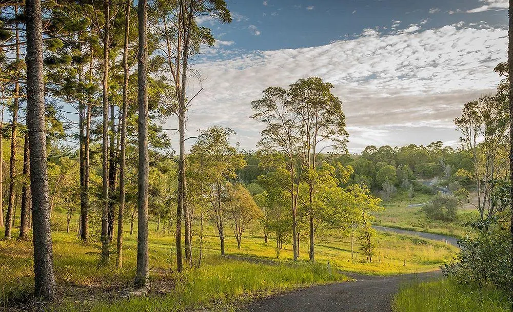 Abelia House Bed & Breakfast Byron Bay