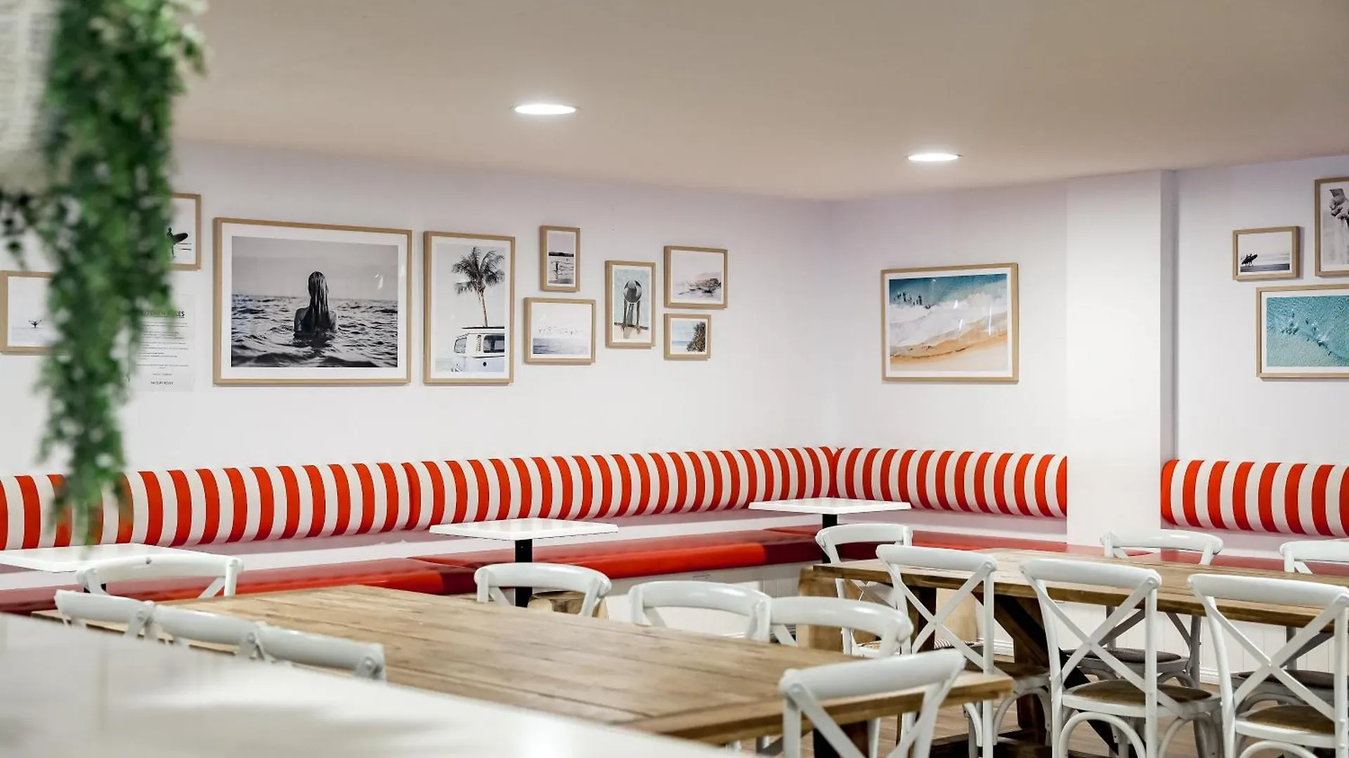 The Surf House 호스텔 *