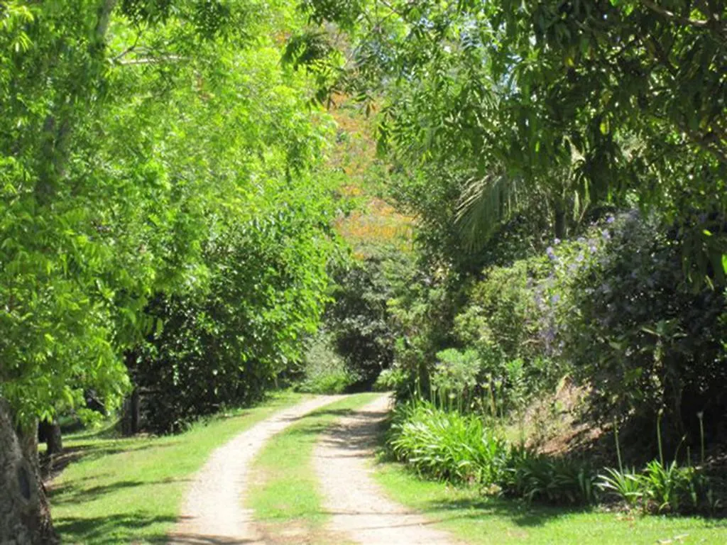 Summerhills Retreat Byron Bay Binna Burra