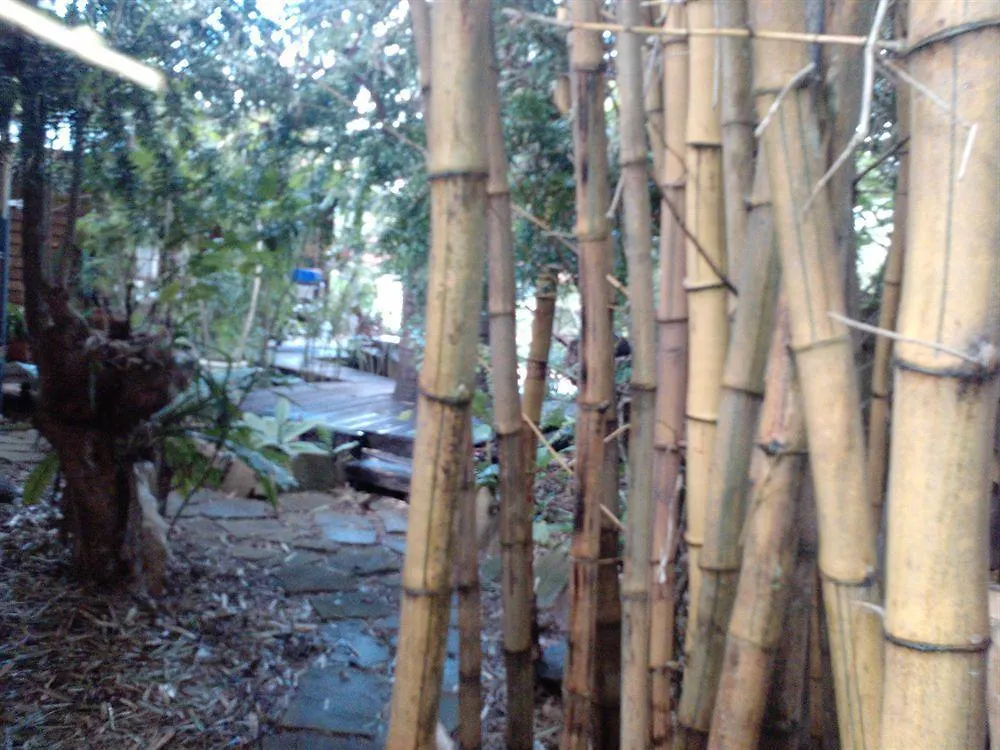 Отель Bamboo Cottage Guesthouse B&B 3*