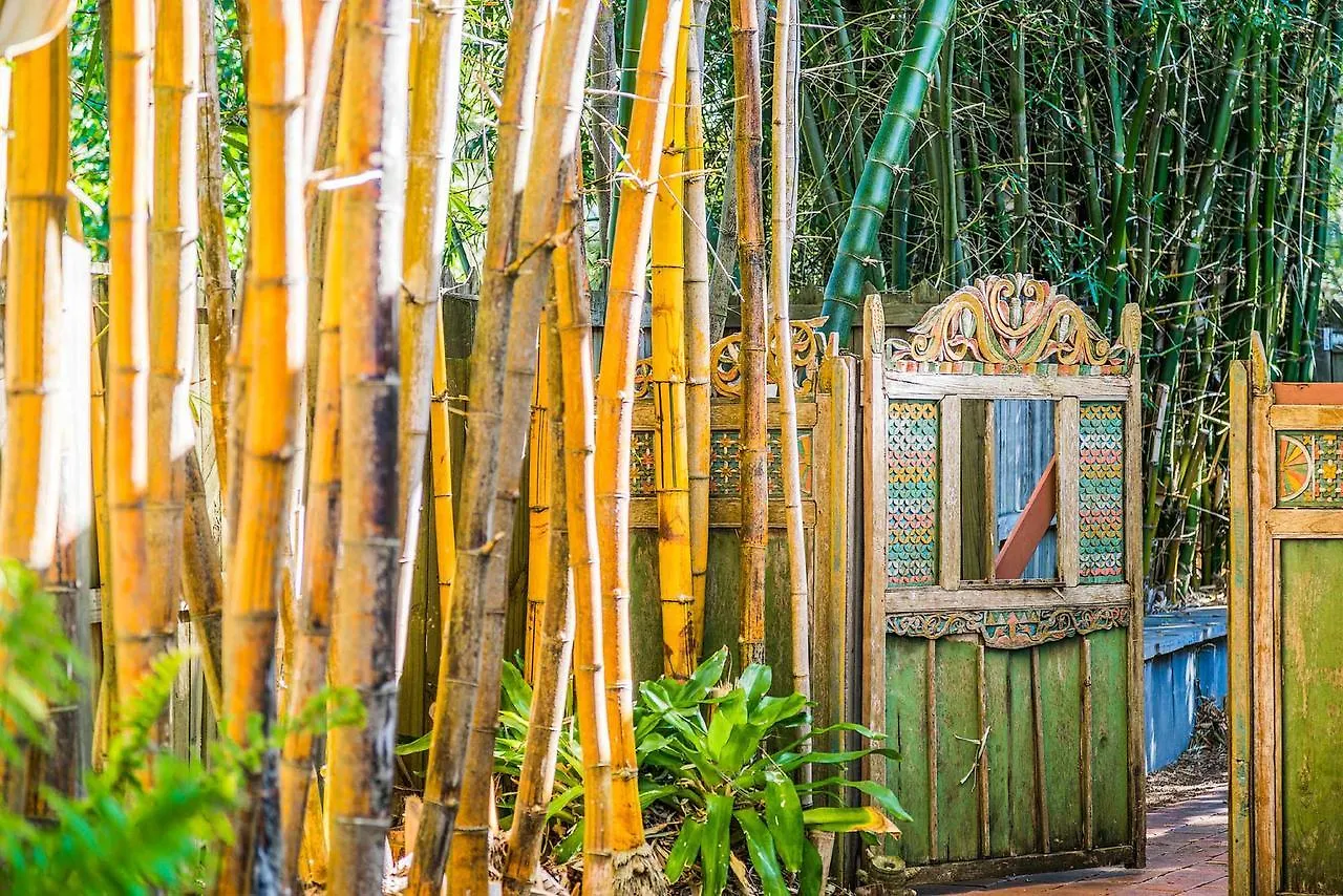 Dom wakacyjny A Perfect - Bamboo House