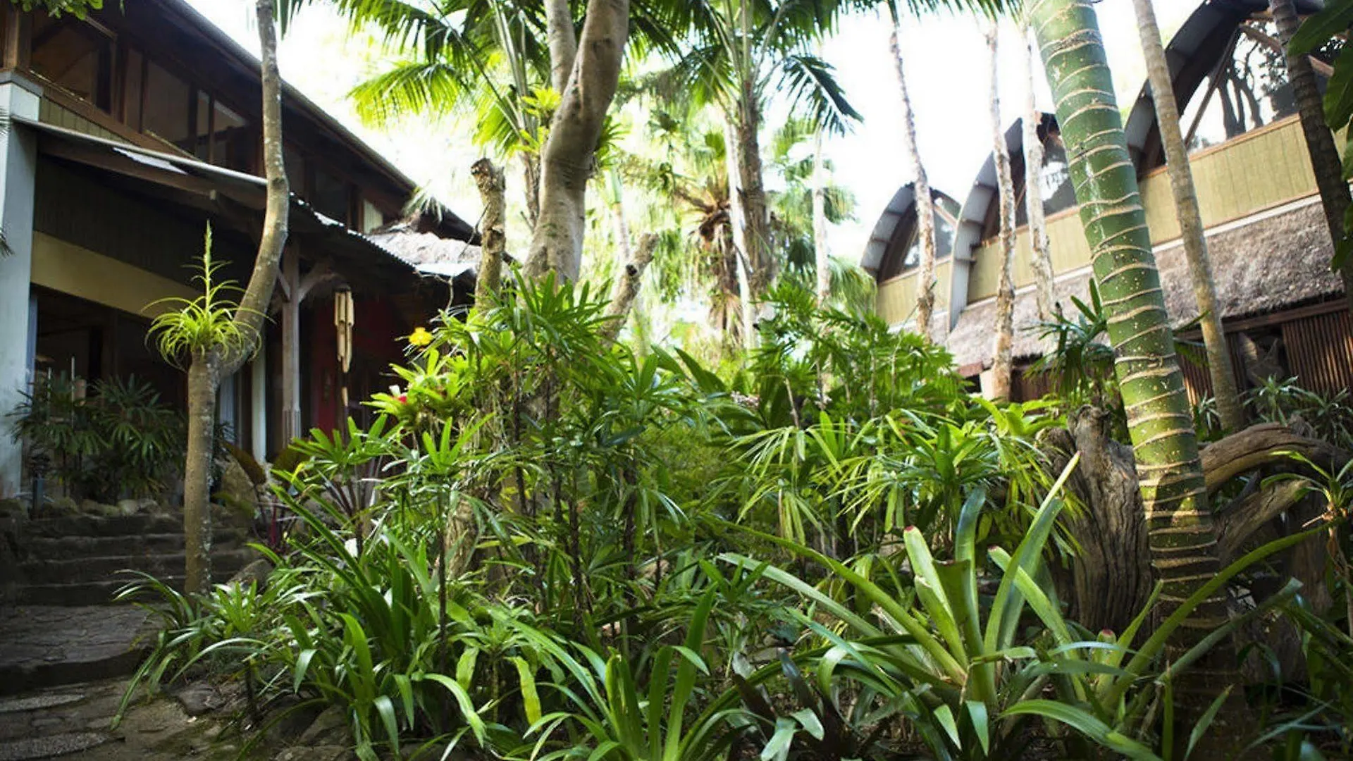 Lodge Garden Burees Byron Bay