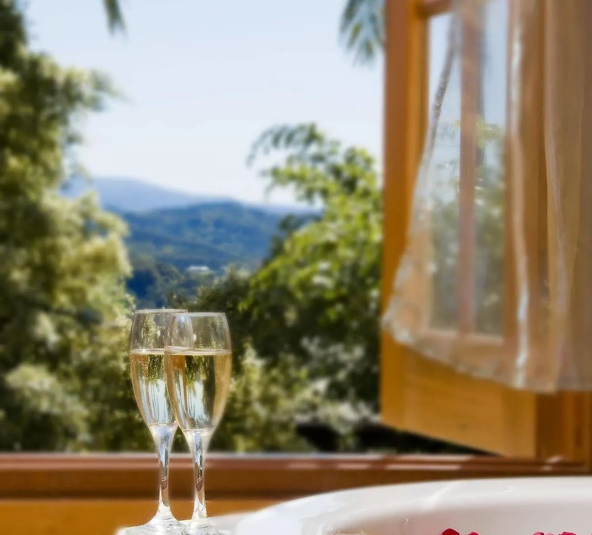 Resort Summerhills Retreat Byron Bay Binna Burra