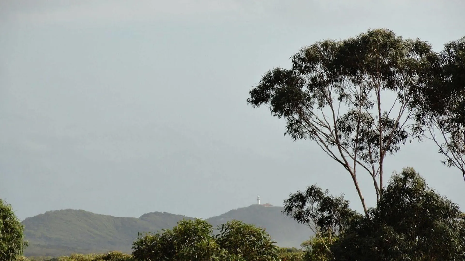 Jugoon * Byron Bay