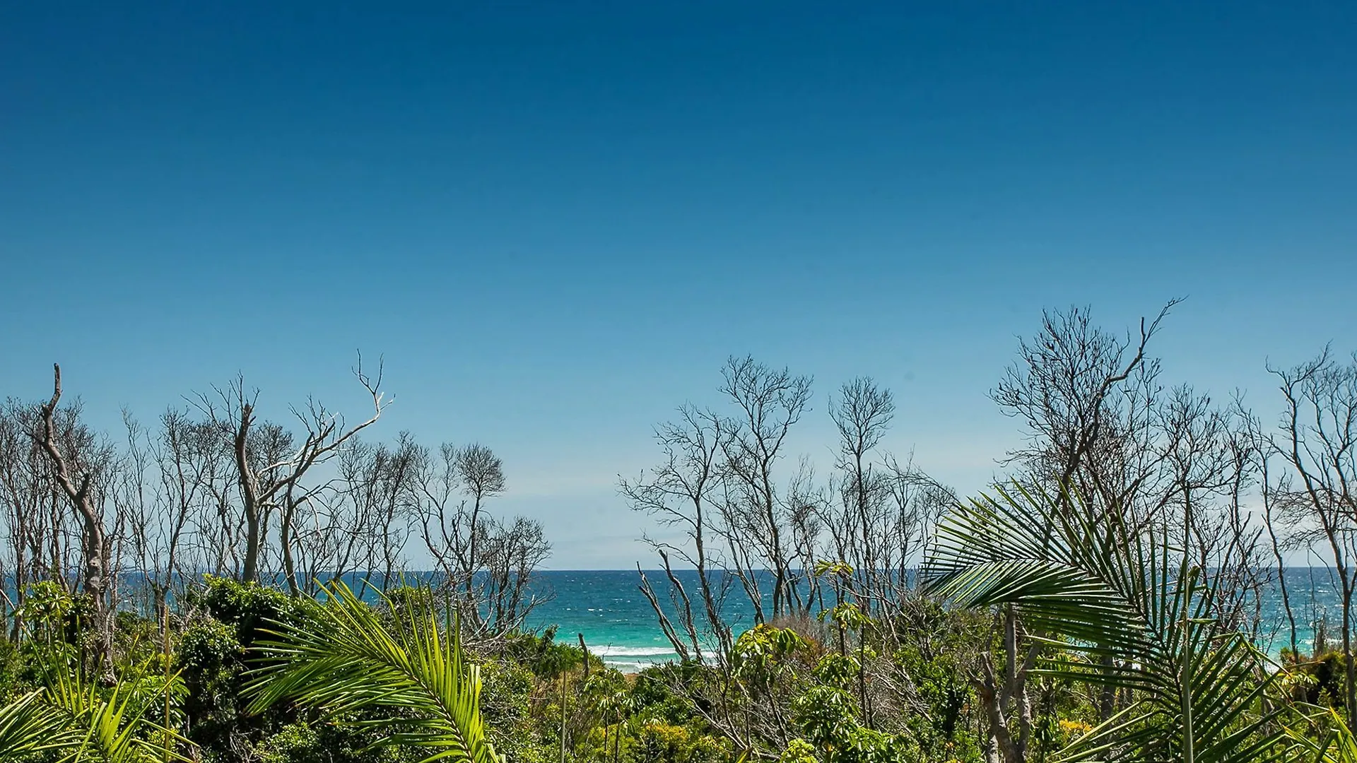 Kiah Bliss - & Luxurious With Ocean Views * Byron Bay