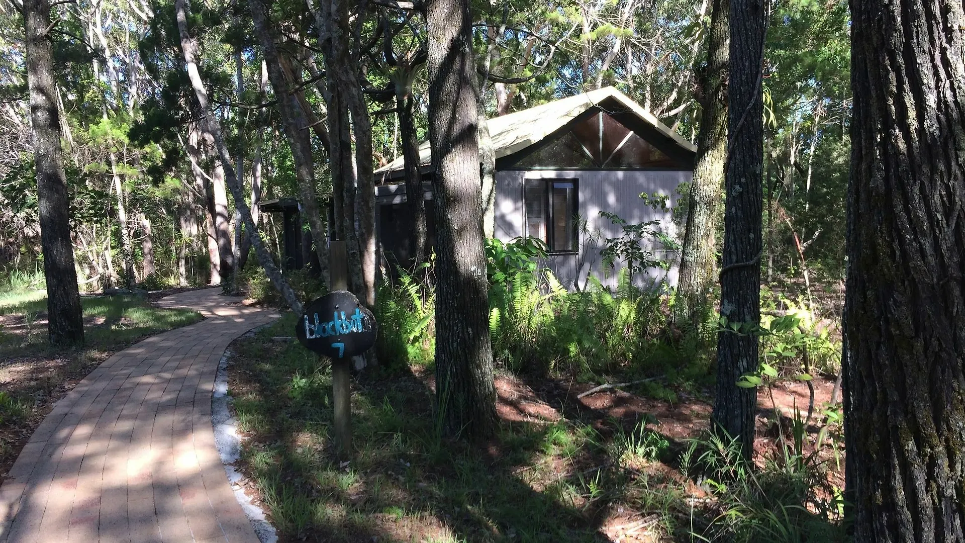 拜伦湾热带雨林度假酒店 3* 拜伦湾