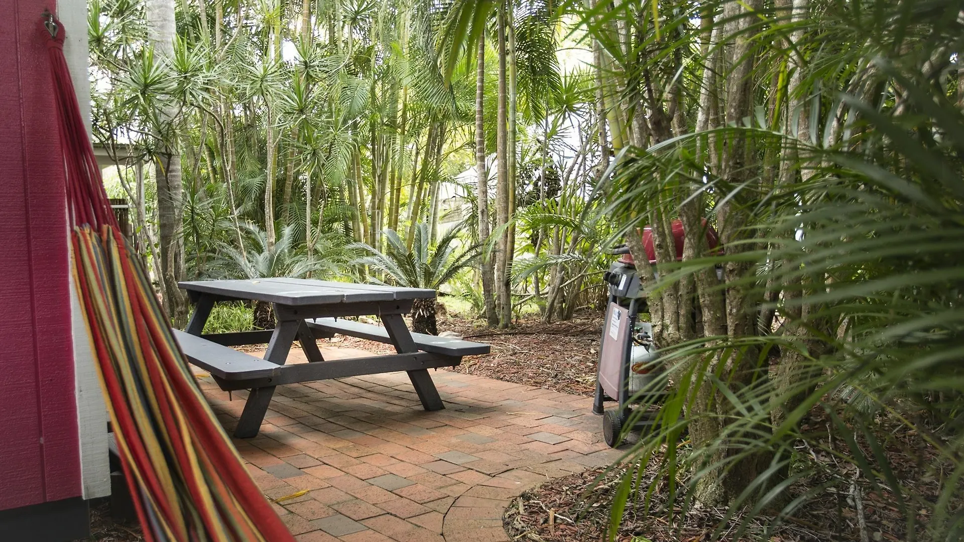 Wake Up! Auberge de jeunesse Byron Bay