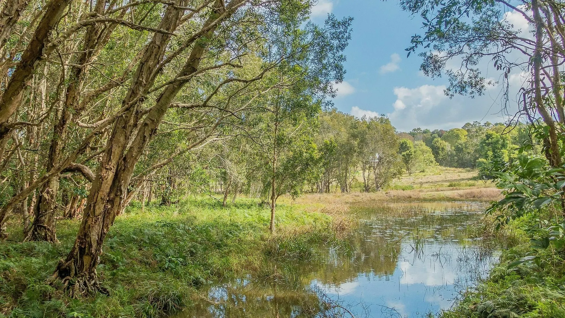 Abelia House 5* Byron Bay