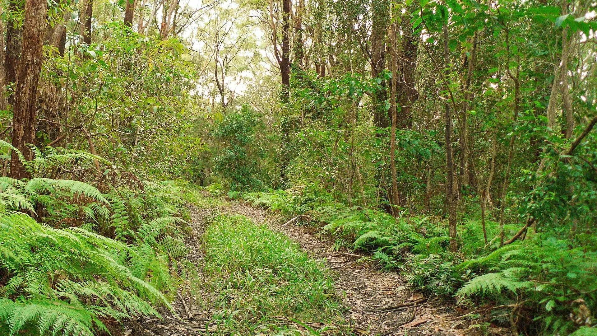 Abelia House Bed & Breakfast Byron Bay