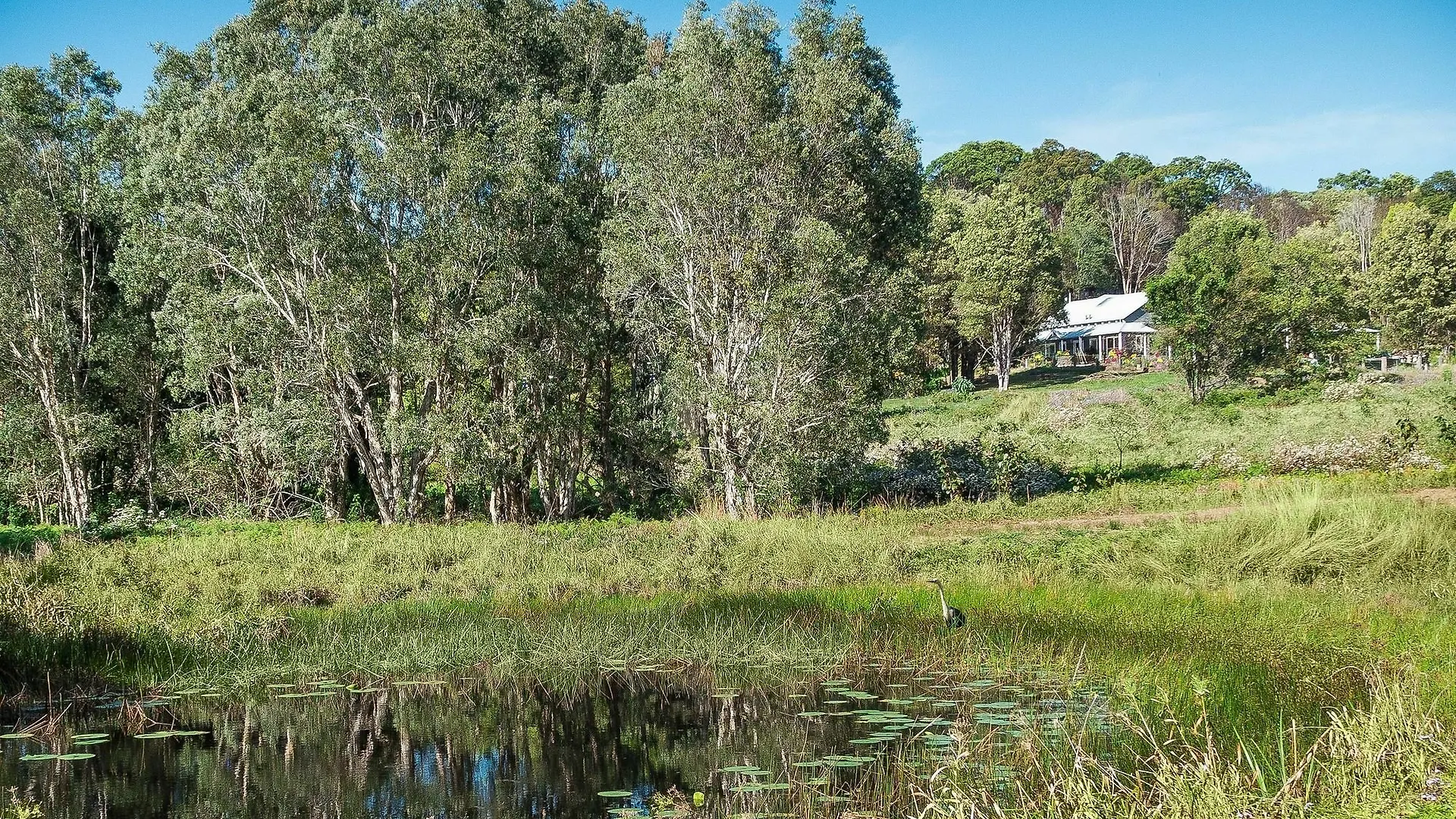 Abelia House Bed & Breakfast