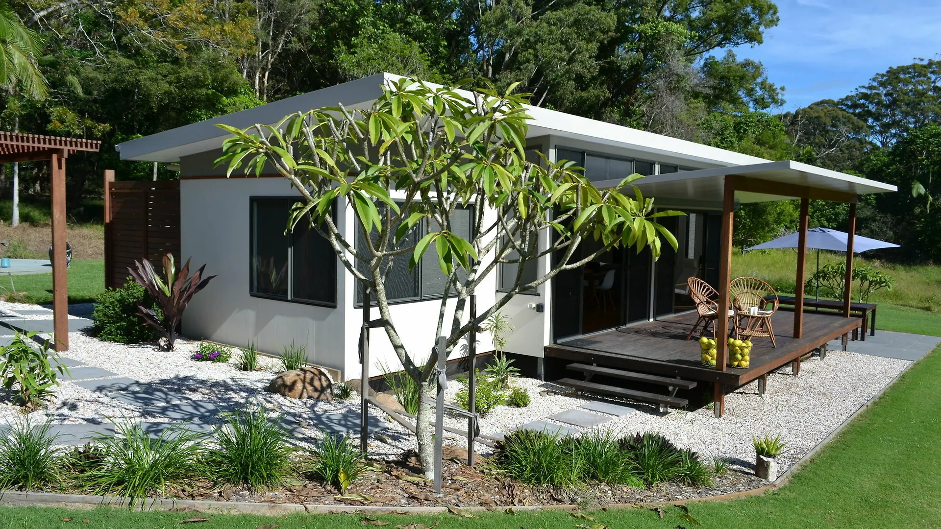 The Lily Pad At *